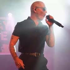 Pin On Pitbull Armando Christian Perez