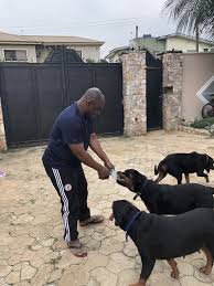He replaces dcp abba kyari who was suspended following a federal bureau of investigation (fbi) indictment. Tunji Disu S Rottweiler Dogs Rapid Response Service Commander Pets Nigeria