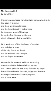 Mary Oliver Mary Oliver Quotes Poetic Words Mary Oliver Poems