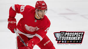 Red Wings Release 2019 Nhl Prospect Tournament Roster
