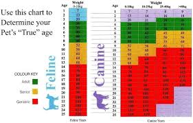 Puppy Weight Calculator Online Charts Collection