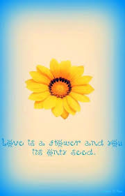 Love Is A Flower Quote Via Carol S Country Sunshine On Facebook Flower Quotes Beautiful Flower Quotes Bloom Quotes