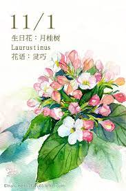 每日一花11 1 haru hello botanical art floral watercolor watercolor flowers