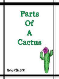 I include this one because it is interesting in comparison with the relatively spineless dwarf of a cactus, opuntia basilaris. Parts Of A Cactus By Rae Elliott Teachers Pay Teachers