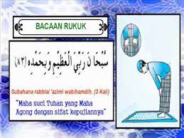 Rukuk merupakan rukun salat yang apabila ditinggalkan baik sengaja ataupun tidak ketika salat maka salatnya batal. Bacaan Rukuk Dalam Solat Youtube