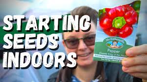Sowing Bell Peppers