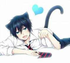 Rin Blue Exorcist Anime Neko Anime Cat Boy Anime