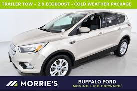 Image result for White Gold 2017 Ford