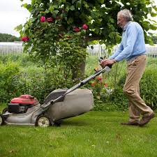 Buying or leasing several vehicles is expensive, and might not always be possible. Understanding Basic Lawn Care Tools