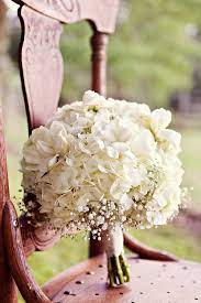 We did not find results for: White Hydrangea Bridal Bouquet White Bridal Bouquet Hydrangea White Hydrangea Bridal Hydrangea Bridal Bouquet