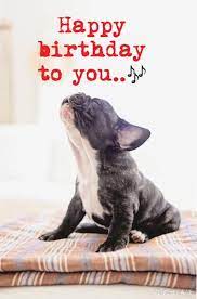 Pin On Animal Birthday Images
