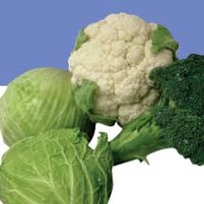 Patrick's day in northern zones. How To Grow Broccoli Cabbage Cauliflower Brussels Sprouts Cole Crops Growing Broccoli Cauliflower Plant Growing Cauliflower