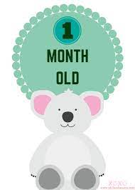 Super Cute And Free Printable Animal Themed Baby Monthly Milestone Signs For Baby Pictures Phil And Mama
