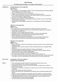 Project Management Job Description Resume Awesome Project Manager Pmo Resume Samples In 2020 Business Analyst Resume Resume Examples Project Manager Resume
