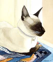 Kim Watercolour Painting 2 By Lynn Buchanan Siamese Cats Painting Siamese