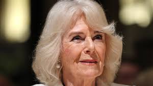 Camilla could be the reason Prince Harry was only given 30 minutes with  Charles, says royal expert