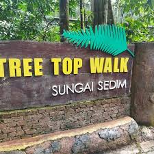 Laluan kanopi sungai sedim ialah sebuah lokasi ekopelancongan yang terletak di hutan simpan gunung inas, kulim, kedah, berhampiran bukit hijau. The Tree Top Walk Sg Sedim 2 Tips From 59 Visitors