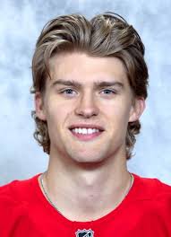 Cross Hanas Hockey Stats and Profile at hockeydb.com