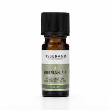 Pine tree as a christmas tree. Siberian Fir Essential Oil Tisserand Aromatherapy