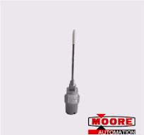 BENTLY NEVADA 21000-33-10-00-070-04-02 Proximity Probe