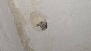 Typischerweise sind decken dunkel und oft feucht. Schimmel Unter Dem Putz An Der Decke Gefunden Haus