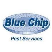 Blue chip pest control services is a locally owned and managed business. Blue Chip Pest Services Home Facebook