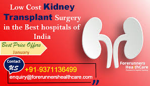 Pin On Kidney Transplant India