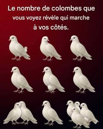 Le nombre de colombes que vous voyez révèle votre personnalité 👇