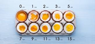 Si vous vous régalez avec des oeufs de poule, pourquoi ne pas essayer avec des oeufs d'oie à la coque ? Petit Guide De L Oeuf Choisir Cuisiner Temps De Cuisson Des Oeufs