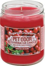 Both eliminates odors and scent naturally by encapsulating and diffusing the. Pet Odor Exterminator Candle Sugared Cranberry 13 Oz Whiting S Pet Supplies
