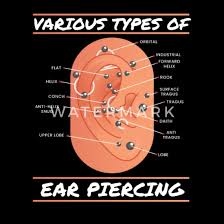 Check spelling or type a new query. Various Types Of Ear Piercing Ohrring Frauen T Shirt Spreadshirt