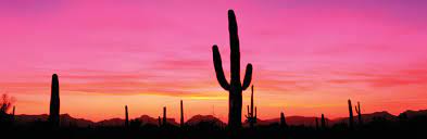 We did get pictures of the cacti themselves, the surrounding mountains. Organ Pipe Cactus National Monument Park Arizona United States Britannica