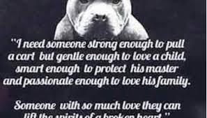 Pin On Quotes Cartoons