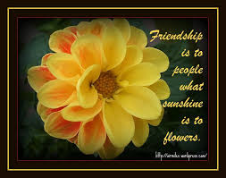 We did not find results for: Flower Quotes About Friendship Quotesgram
