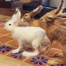 We Had A Great Felting 2 Days I Sarafina Fiber Art Facebook