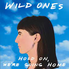 verse i got my eyes on you, you're everything that i see i want your hot love and emotion endlessly i can't get over you, you left your mark on me i want your hot love and emotion endlessly. Hold On We Re Going Home By Wild Ones