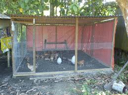 Maybe you would like to learn more about one of these? Gaya Terbaru 26 Kandang Ayam Kampung