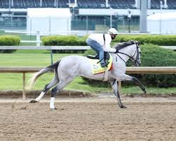 Check spelling or type a new query. Soup And Sandwich Horse Profile Bloodhorse