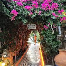Datça otellerinin pek çoğu denizin hemen kenarında yer alıyor. Datca Butik Otel Tavsiyesi Yorumlar Villa Asina Gezenti Anne