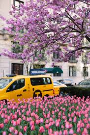 Studying this season of blossoming plants is not a completely isolated activity, because, like any ecosystem, the behaviors of the inhabitants are closely affected by flora. 5 Reasons To Visit The Central Park Conservatory Garden In Spring York Avenue