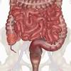 An uneven rib cage means the two sides of the rib cage are not symmetrical. 1