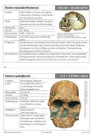 Einen kreis (homo ad circulum). Individuenkarten