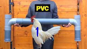 Abreuvoir oiseaux eau 20pcs suspendu cage automatique volaille mangeoire. Comment Faire Un Abreuvoir Pvc Poules Canards Faisans Dindes Youtube