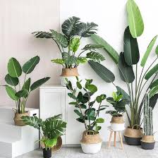 Bohemian Artificial Plants House Plants Indoor Hanging Plants Plant Decor