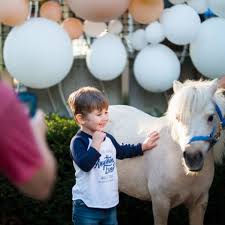 Animal rental company chicago,america,us,united states! Top Petting Zoos For Hire In Chicago Il 100 Guaranteed Gigsalad
