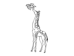 Dans ce quatrième épisode du challenge dessin , je vous dessine une girafe. Coloriage Girafe 8 Coloriage Girafes Coloriages Animaux