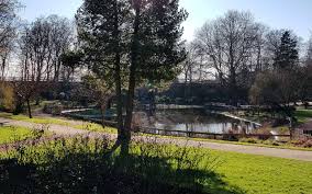 The garden dates to 1952 when the city. Kein Gartenmarkt In Sg Radio Rsg