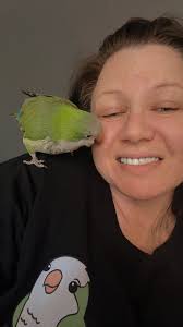 What advice do you have for a new bird mommy?