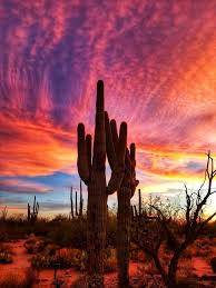 We did a family road trip. Arizona Evening Desert Painting Arizona Sunset Desert Sunset