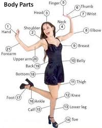 With 377 body parts worksheets, you are sure to find something that matches the level of your students. English Vocabulary Parts Of The Body Eslbuzz Learning English